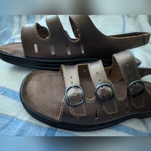Clarks Springers